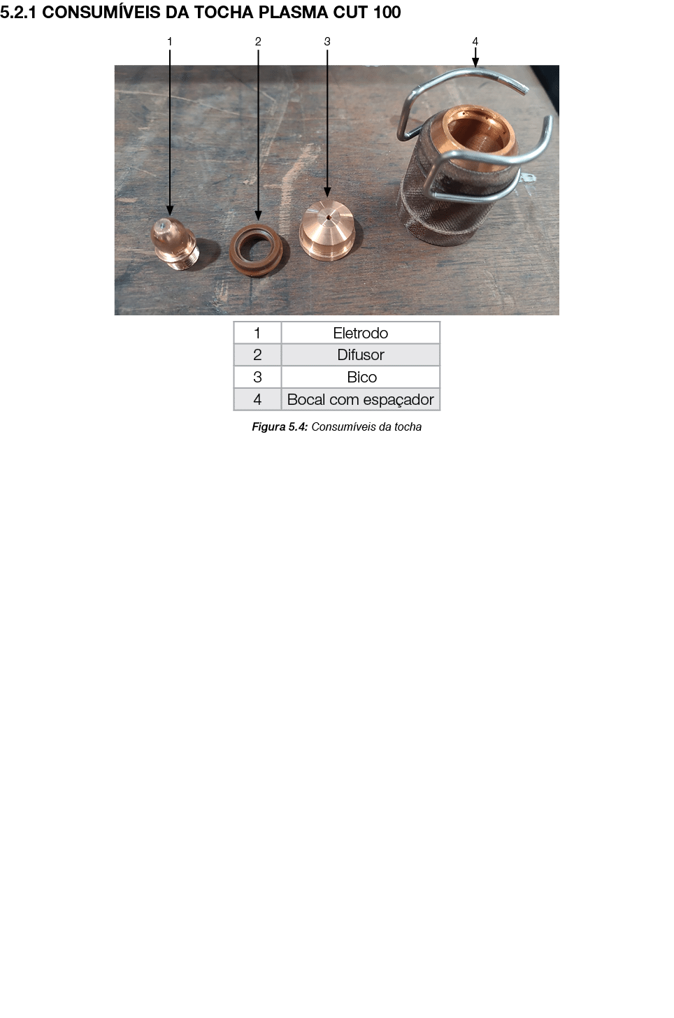5.2.1 Consum veis da tocha plasma CUT 100 ￼ Figura 5.4: Consum veis da tocha 